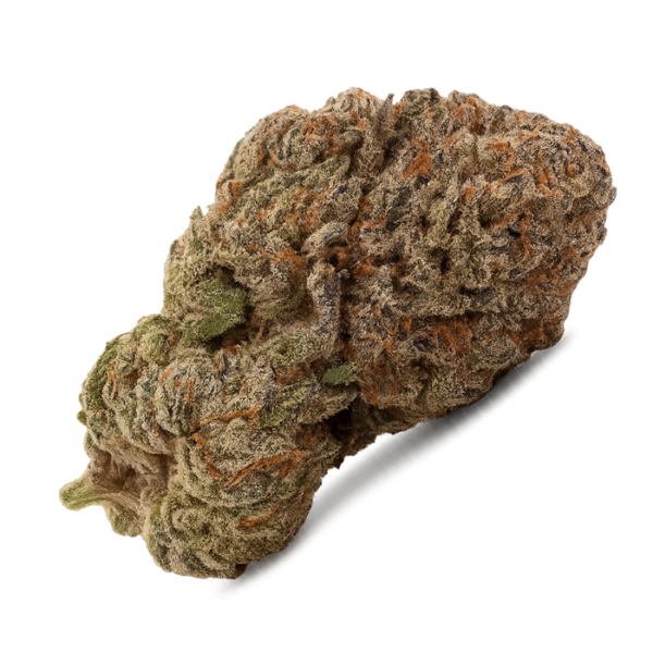 Skywalker 10HC