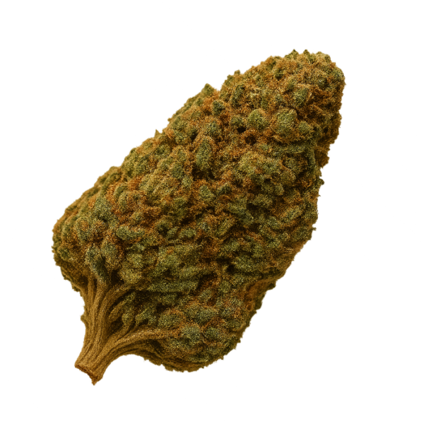 Buds Watermelon 10HC
